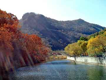 新澳天天开奖资料大全旅游团，天涯论坛 娱乐八卦